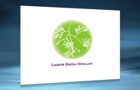 Labor Grün-Wollny